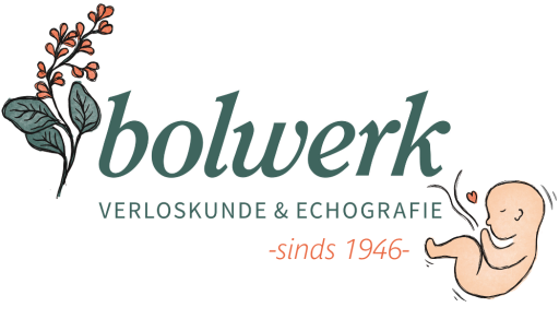 Verloskundigenpraktijk Bolwerk is geïnspireerd door antroposofie